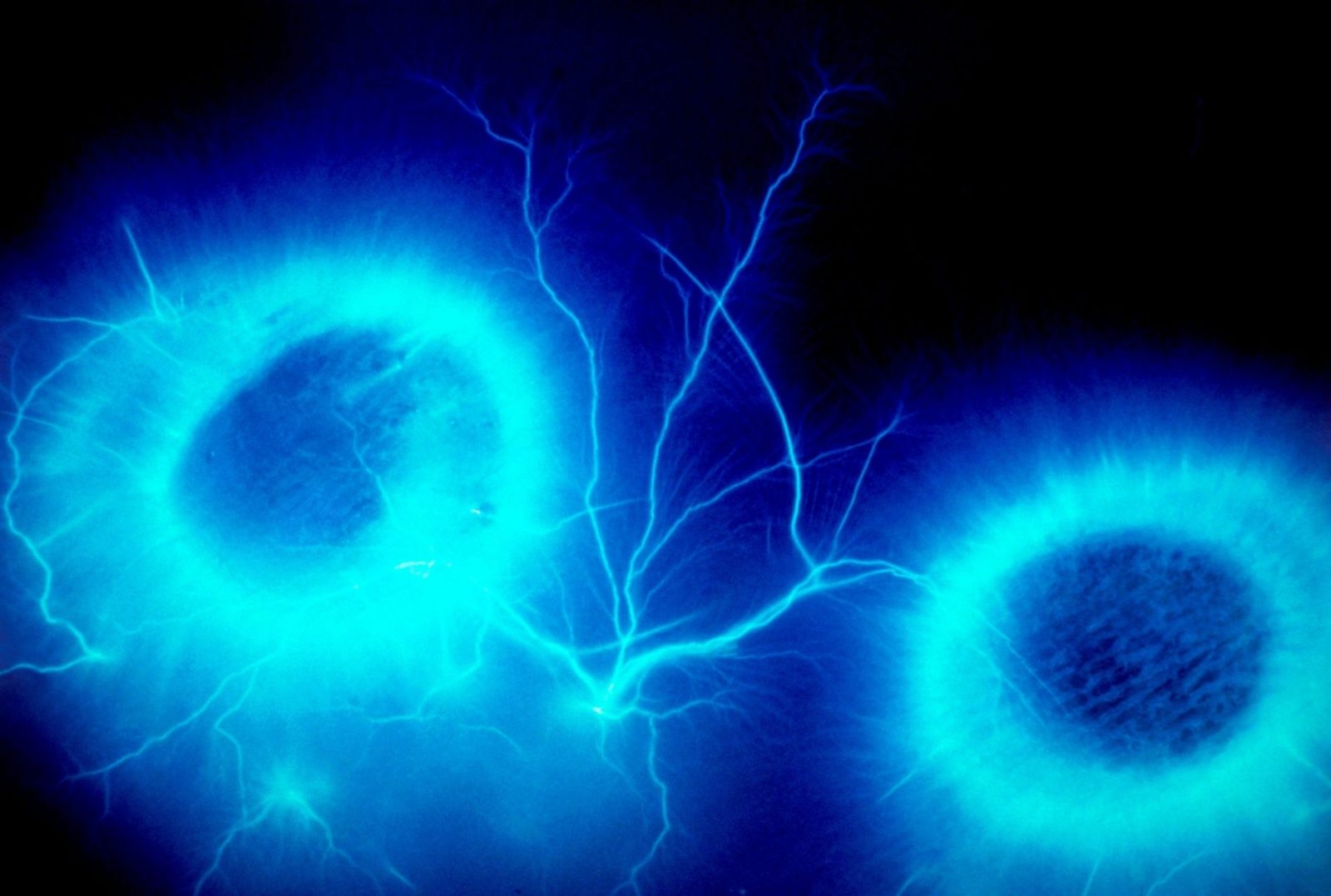 Kirlian photography of the electromagnetic discharge between two fingertips.